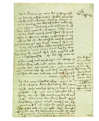 Codex om fåglarnas flygning, Folio 13 verso